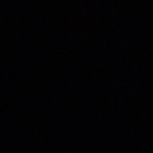 Meet your Posher, Elisabeth